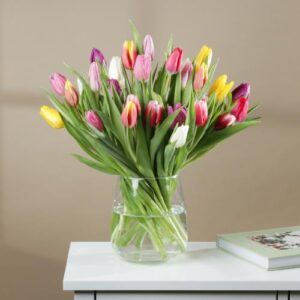 Rainbow tulip 🌈