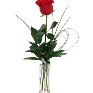Valentines velvet
