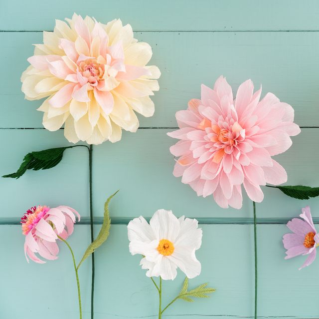Florists choice